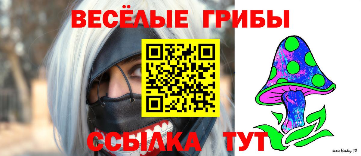 Дивногорск  Псилоцибиновые грибы мицелий  Вход с VPN  Псилоцибиновые грибы мухоморы 